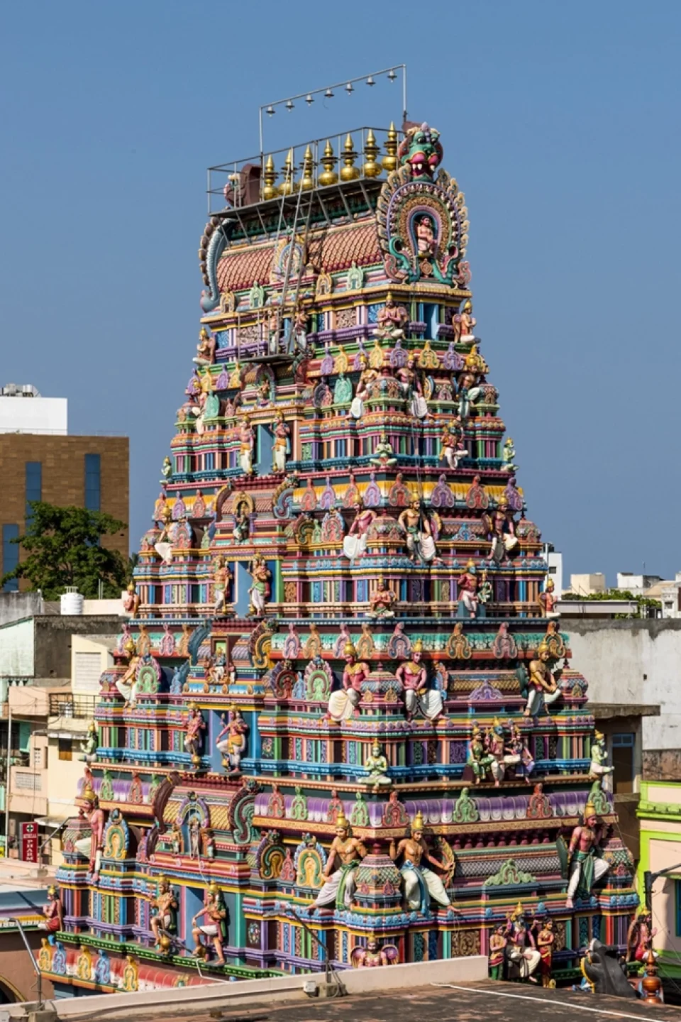 kamal