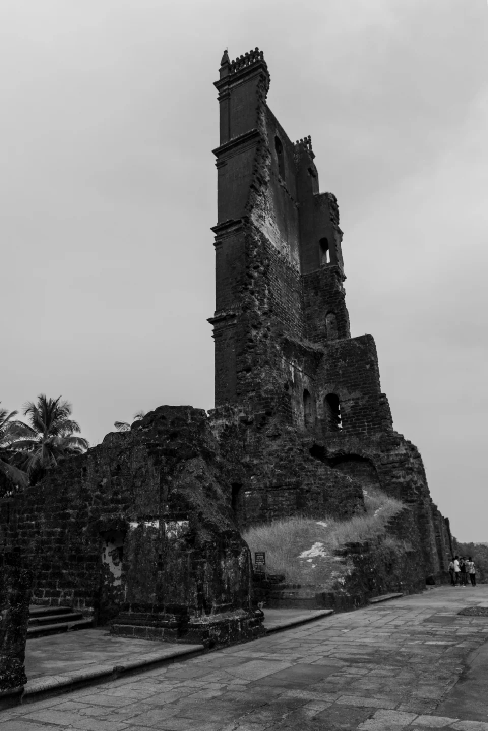 kamal