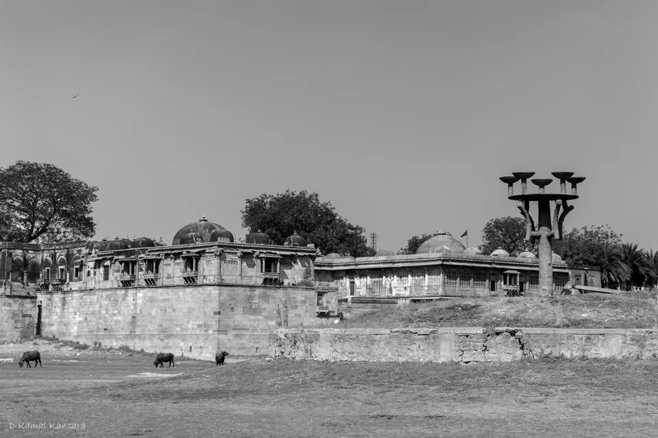 kamal
