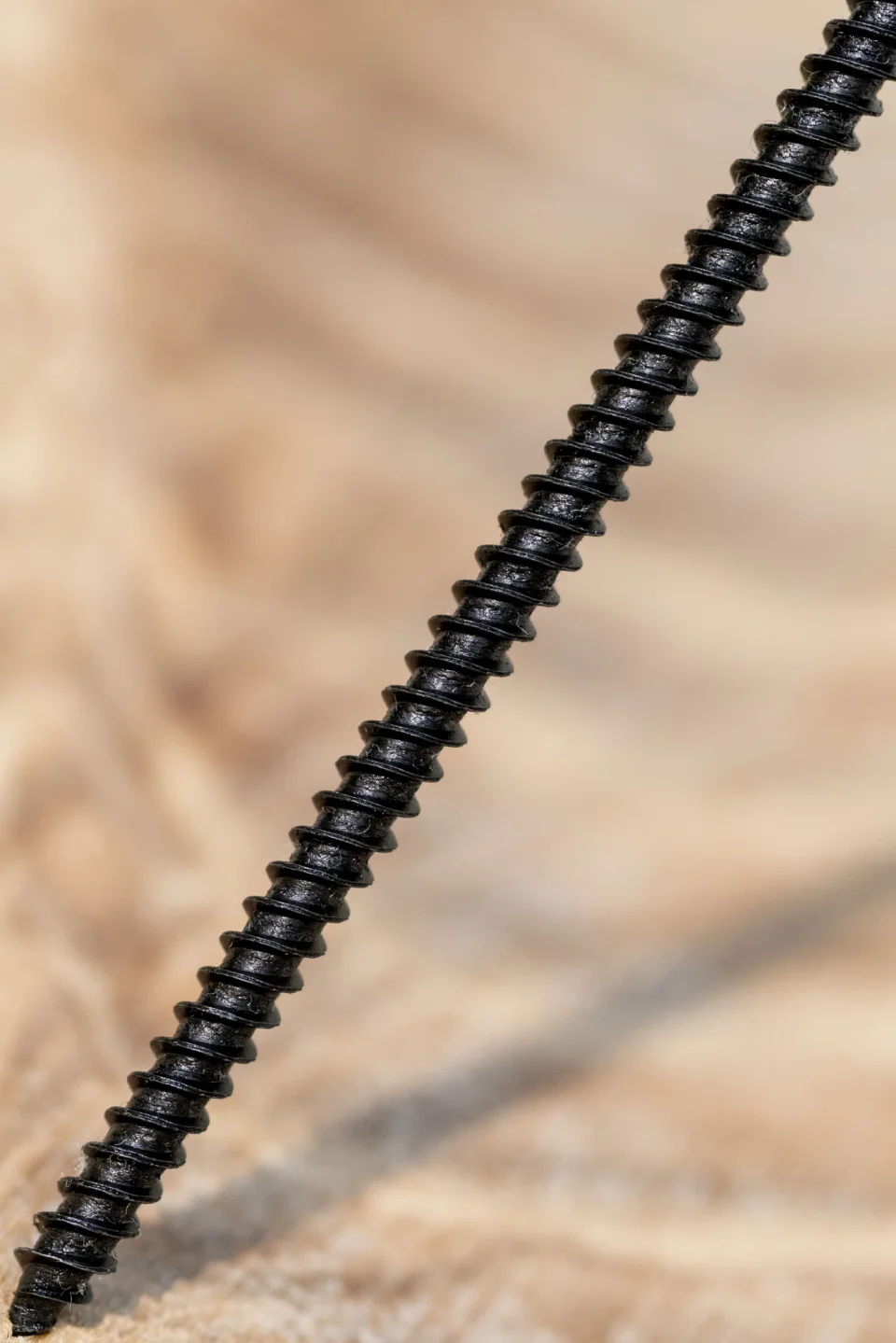 kamal
